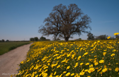 DSC_0014.jpg