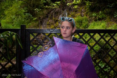 DSC_1393.jpg