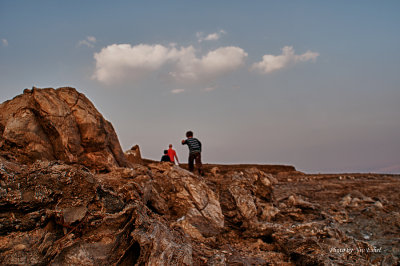 DSC_3885_H.jpg