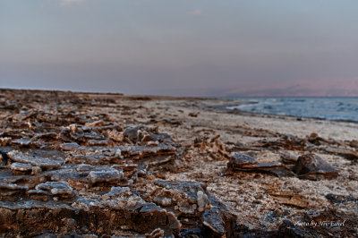 DSC_3901_H.jpg