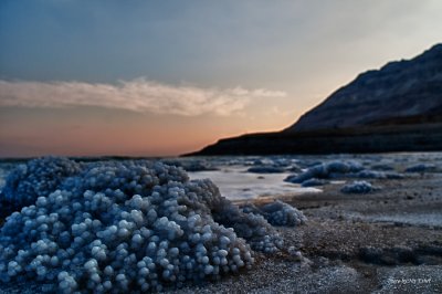 DSC_3908_H.jpg
