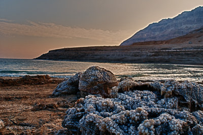 Dead Sea 2011