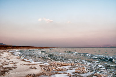 Dead Sea 2011