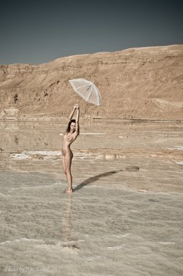 DSC_6312.jpg