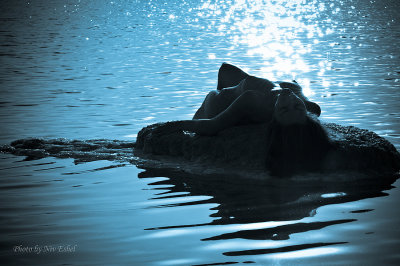 _DSC0049-Edit.jpg