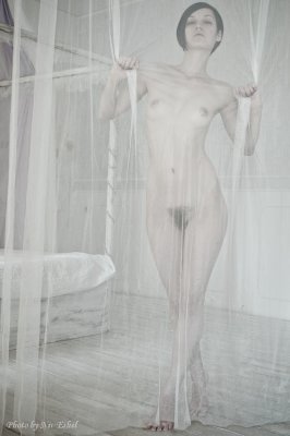 DSC_8560.jpg