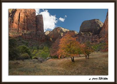 Zion Color 2142