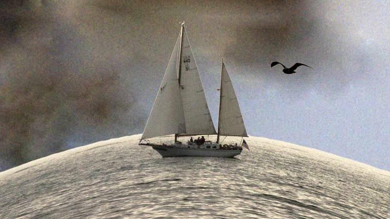 Seagull and Sailboat