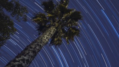 Star Trails