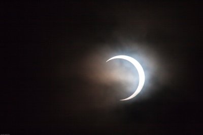 IMG_3279.jpg