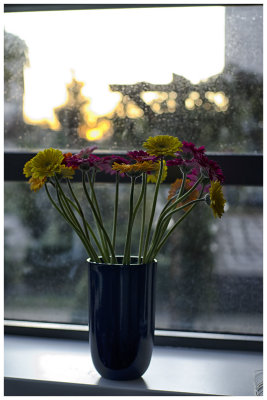 g4/40/124240/3/140219694.j8ipCJs4.jpg