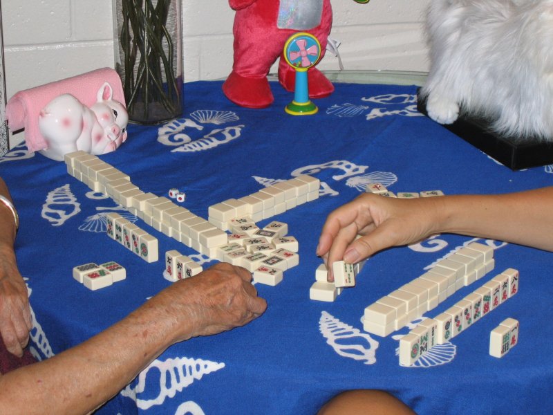 Mahjong3