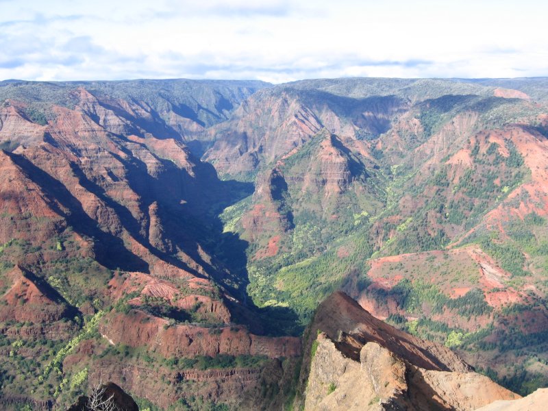 Waimea 4
