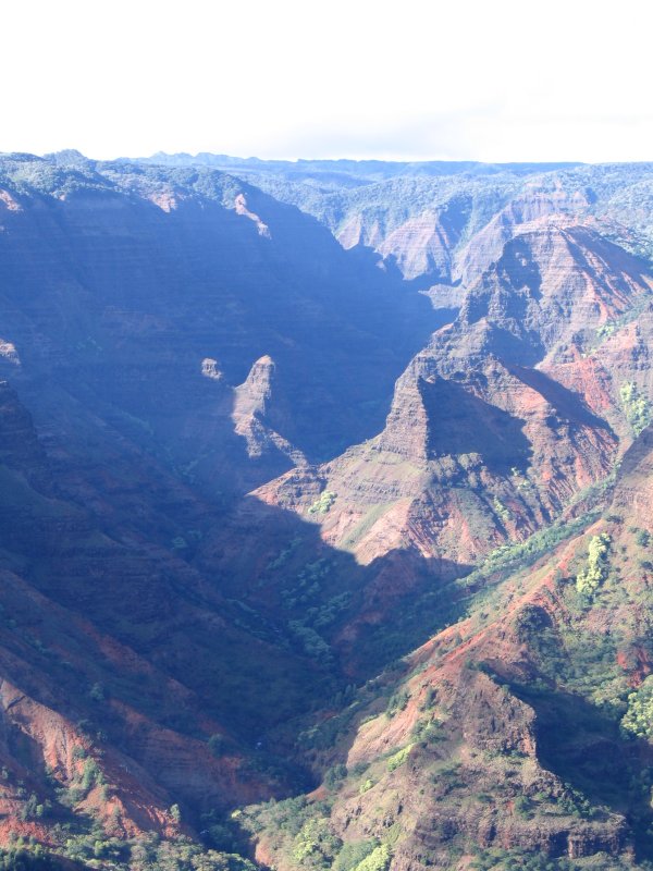 Waimea 6