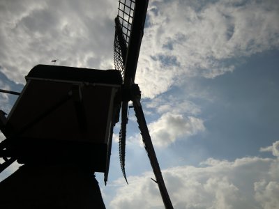 CIMG3648.JPG
