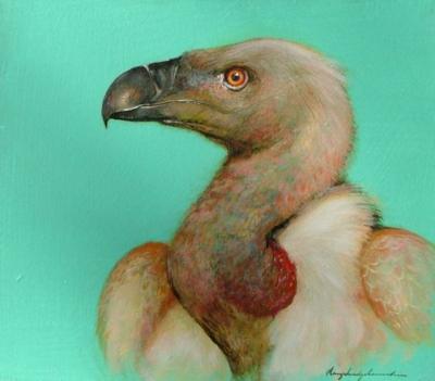 Turquoise Vulture