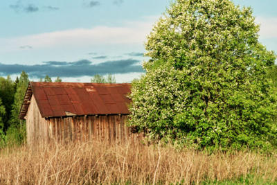 Backen shed