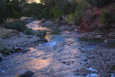 Bernie at the Virgin River