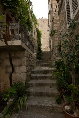 Antuninska Ulika, Dubrovnki