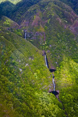 _MG_0326.jpg