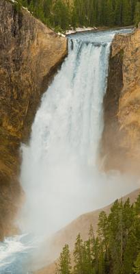 Yellowstone Landscape scenes