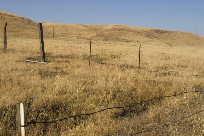 Golden Hills