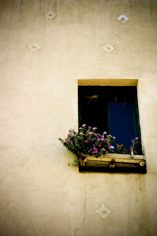 August 8th - Window Box