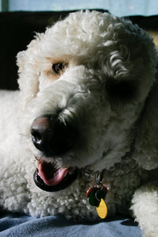 August 19th - Teddy