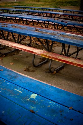 January 12th - Picnic Tables