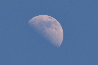 The Moon - 2:55pm Sunday 13th March 2011