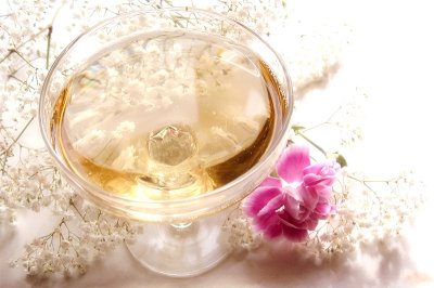 Champagne Glass & Pink Carnation