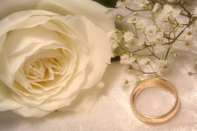 Gold Wedding Ring & White Rose