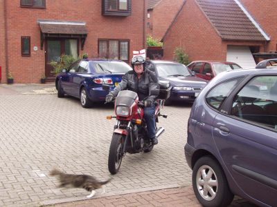 John, Honda VT500E and Startled Cat