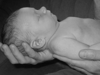 g4/40/442440/3/61369869.HarrisonHands.jpg