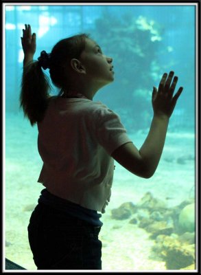 Noelle watches a dolphin in the aquarium tank