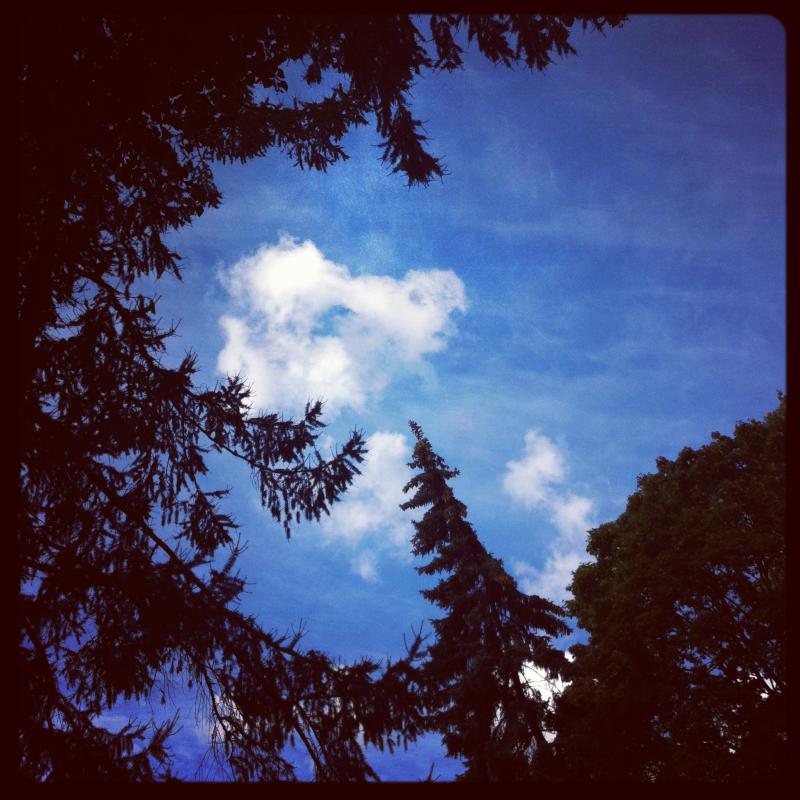 IMG_0620.png