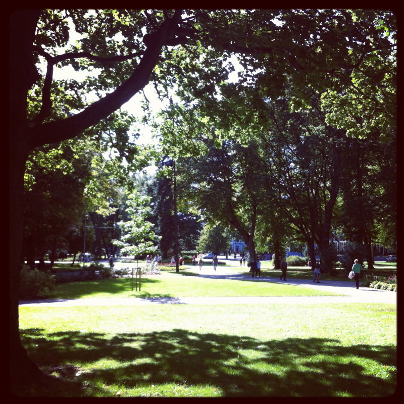 IMG_0626.png