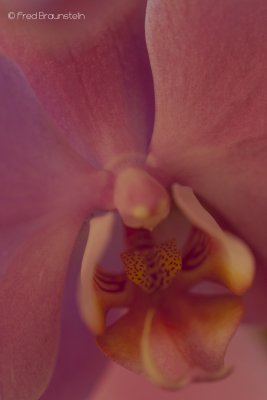 g4/40/499340/3/139891280.5Axde5Sb.jpg