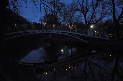 DSC_0043.jpg