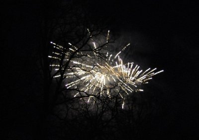 DSC_0061.jpg