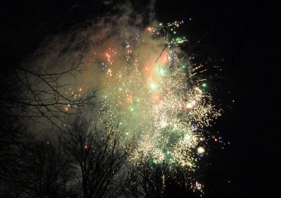 DSC_0108.jpg