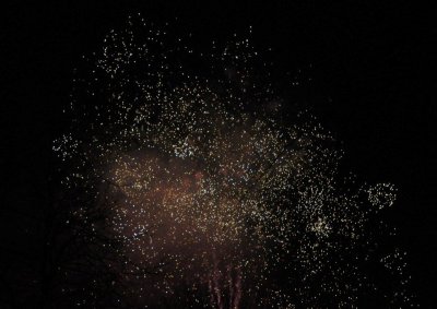 DSC_0175.jpg