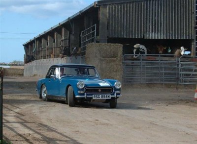 Dsc_008915261.jpg.1 Small.jpg