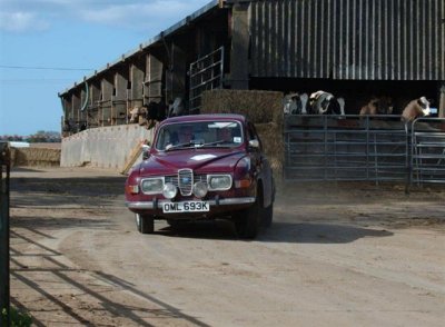 Dsc_009115263.jpg.1 Small.jpg