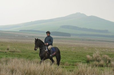 DSC_2201.jpg