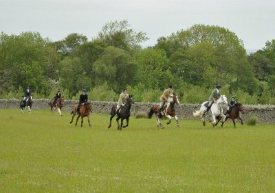 DSC_7512.jpg