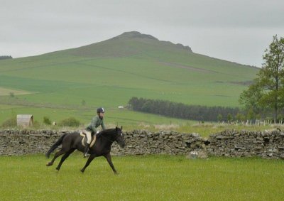 DSC_7525.jpg
