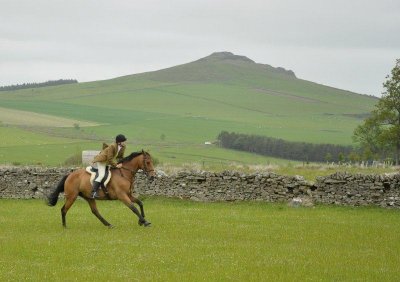 DSC_7526.jpg