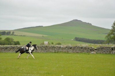 DSC_7530.jpg