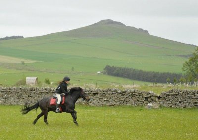 DSC_7532.jpg